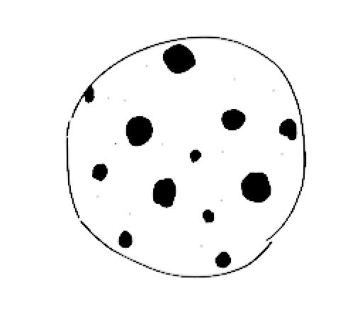 Dark Chocolate Chip Cookie
